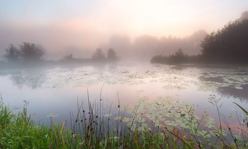 Ochtend in het Dommeldal