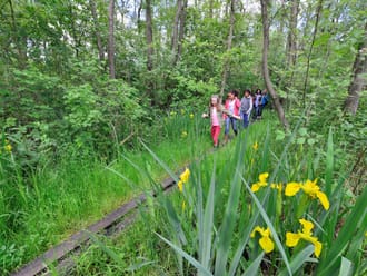 Wandelroute Laarzenpad - Naardermeer
