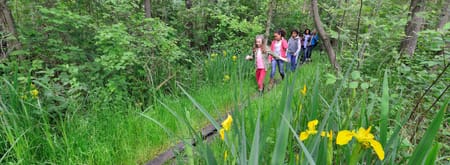 Wandelroute Laarzenpad - Naardermeer