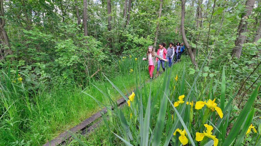 Wandelroute Laarzenpad - Naardermeer