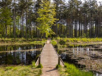 Landgoed de Slotplaats