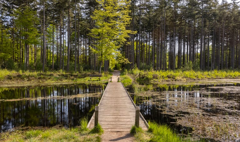 Landgoed de Slotplaats