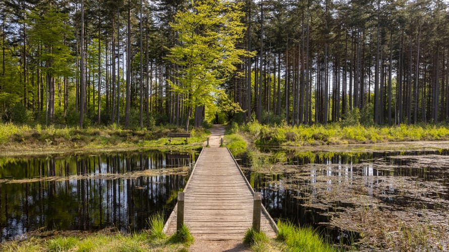 Landgoed de Slotplaats