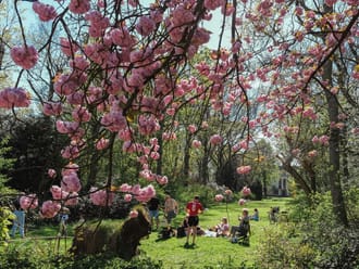 Buitenplaats De Tempel