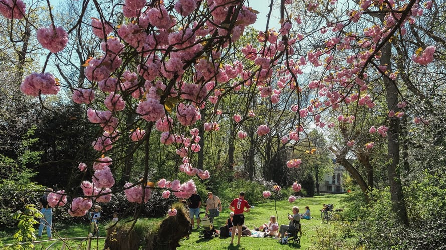 Buitenplaats De Tempel