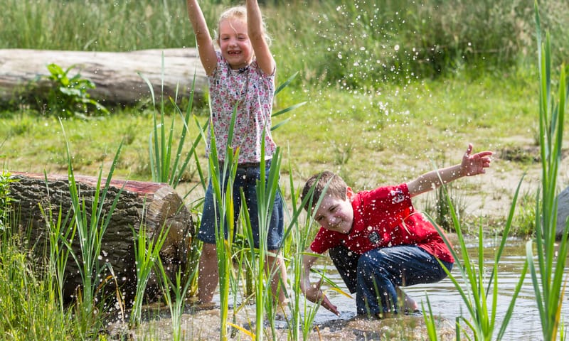 OERRR opzeggen lente