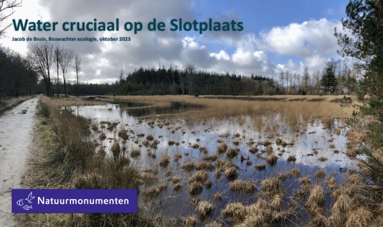 Water op de Sltotplaats