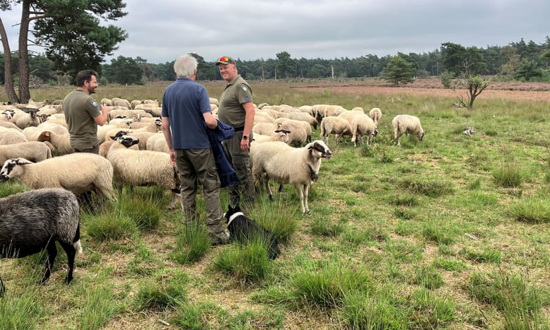 De boa boswachter als gastheer