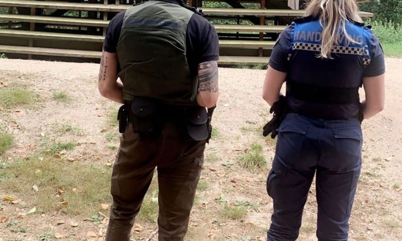 groene en grijze boa