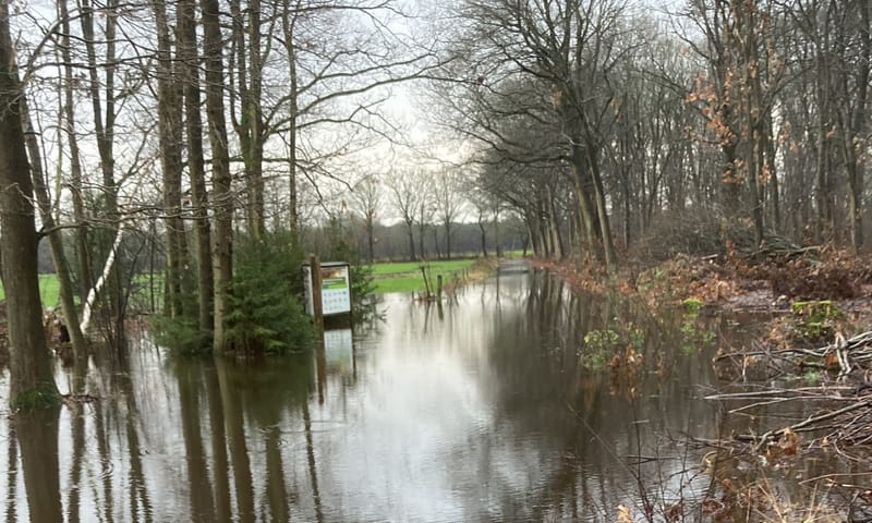 Zeer nat deel van de mtb-route Loonse en Drunense Duinen