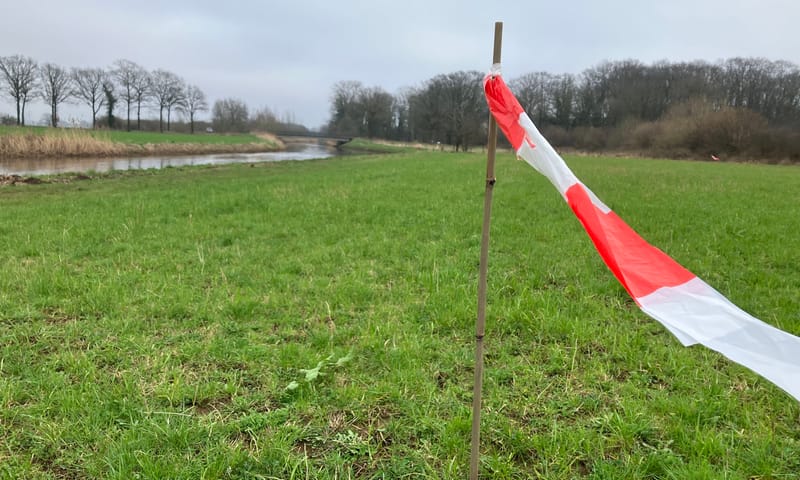 vlaggetjes in het te ontwikkelen glanshaverhooiland Velhorst