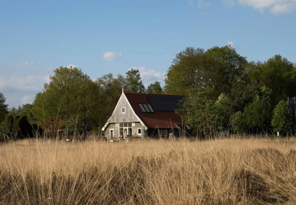 Buurserzand - De Wakel