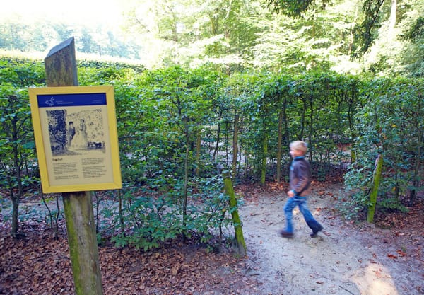 Doolhof - de Braak Doolhof - de Braak