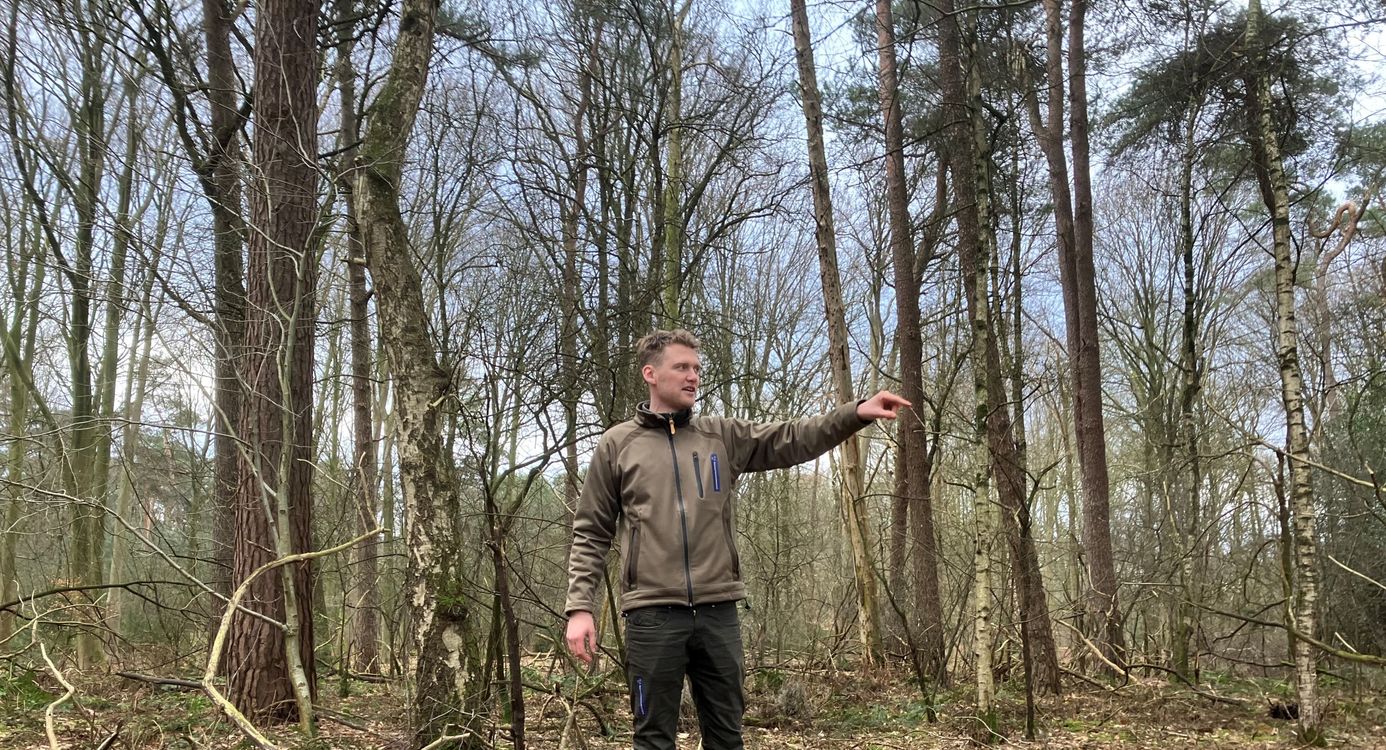 Boswachter Peter Muileman bosbeheer Velhorst