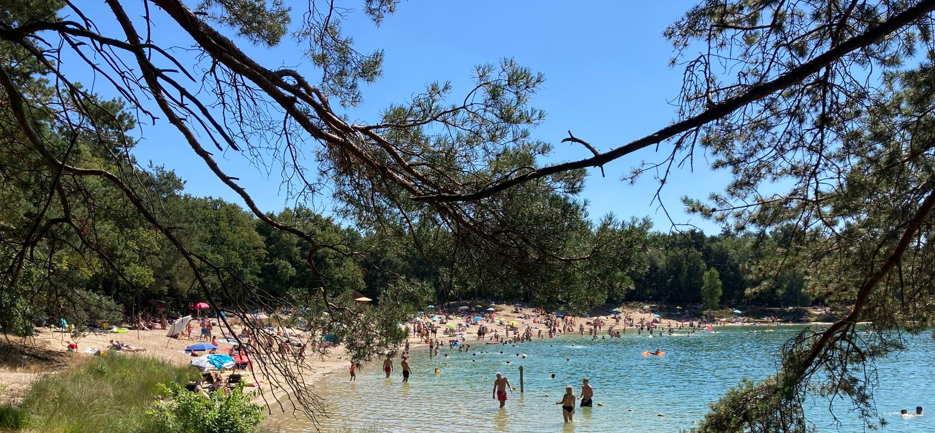 Het Blauwe Meer Zwemplas Blauwe Meer met bomen