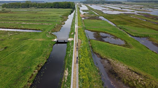 Vechtplassen