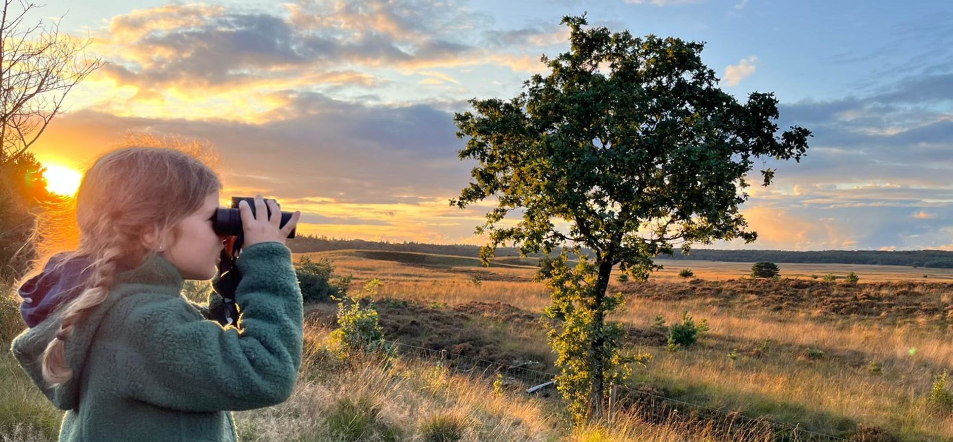 Meisje met verrekijker kijkt uit over Veluwe Meisje met verrekijker kijkt uit over Veluwe