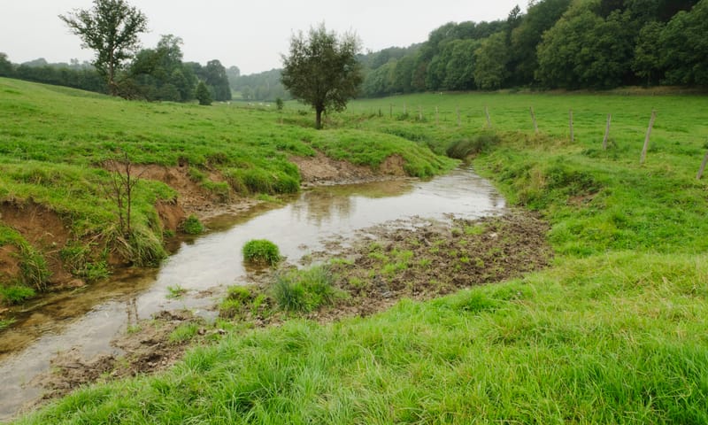De Noor slingert door groene weilanden in Landgoed Altembrouck