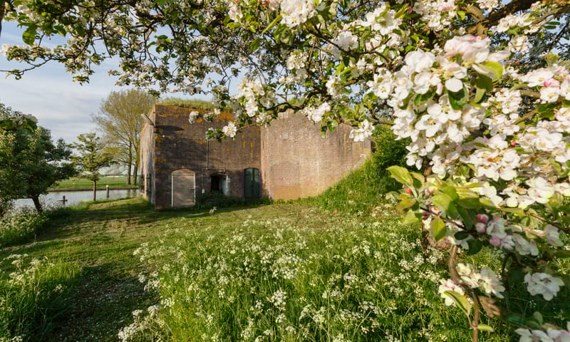 Fort Kijkuit
