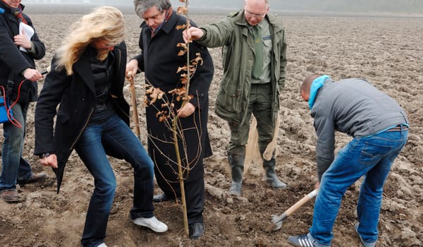 Bomen planten Klimaatbos