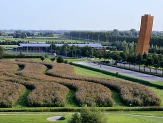 Kardinge