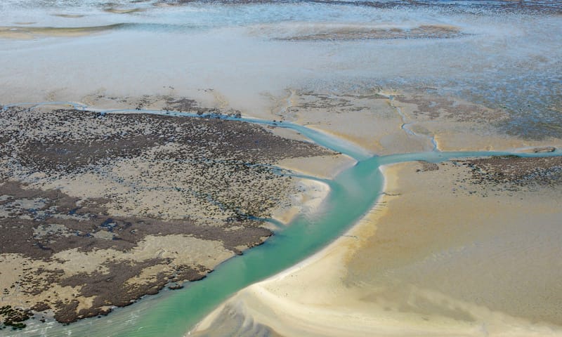 Galgeplaat