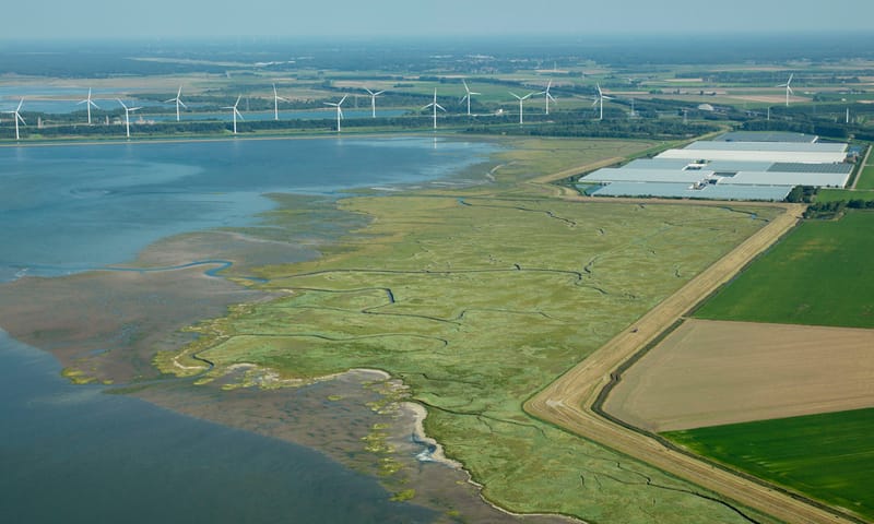 rattekaai Rattekaai