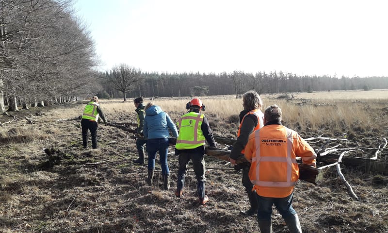 Verplaatsen mierensnelweg