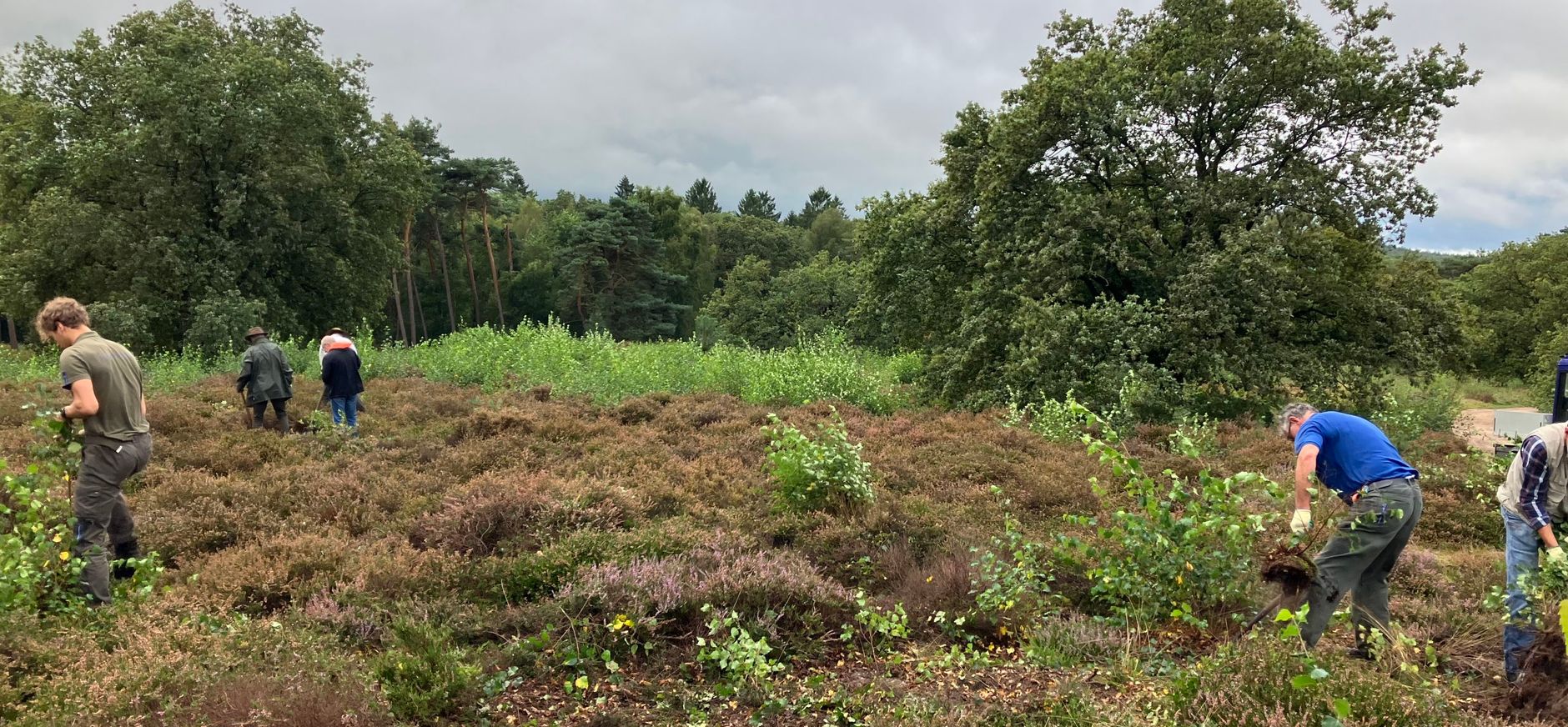 Vrijwilligershogeheide