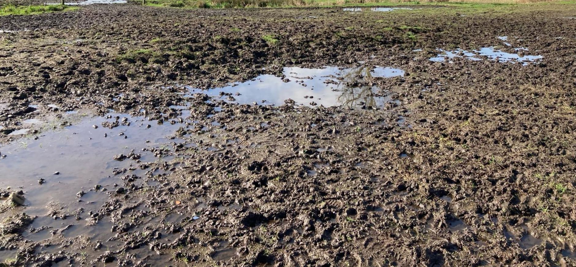 Wandelkade Laarzenpad Naardermeer nog erg nat