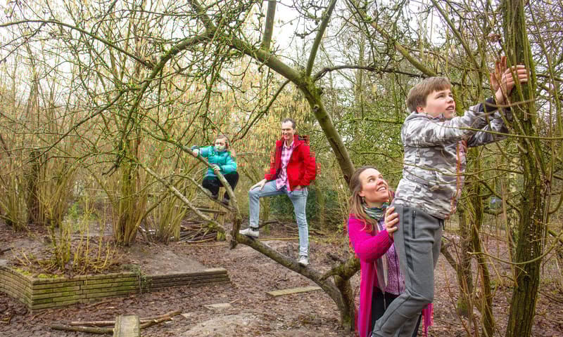 Gezin geniet in de natuur