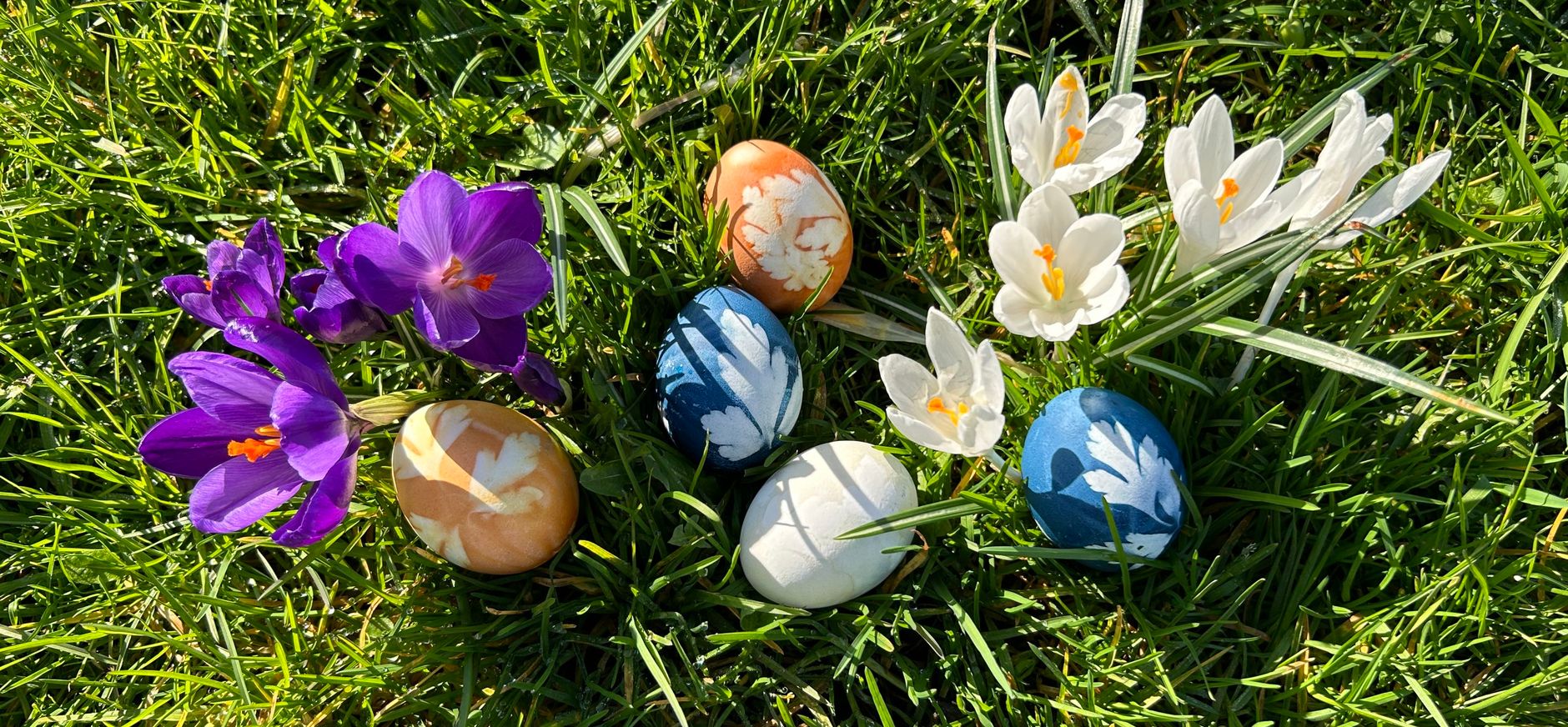 Paaseieren schilderen