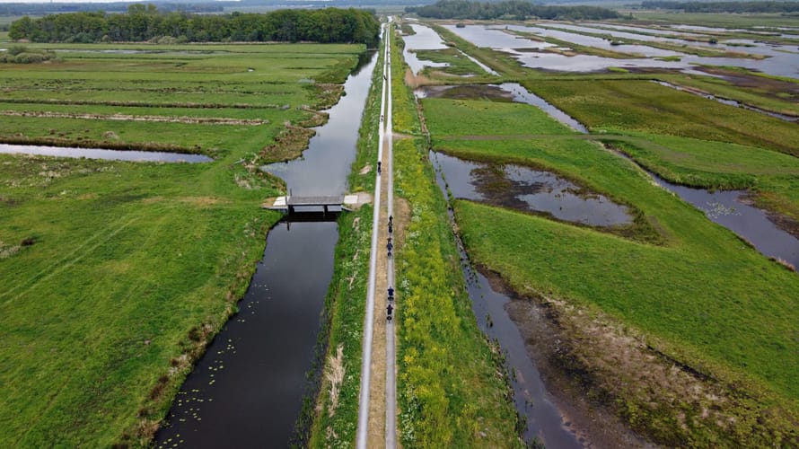 Vechtplassen