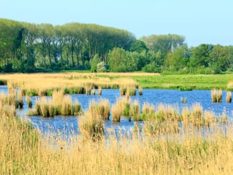 Zwaakse Weel