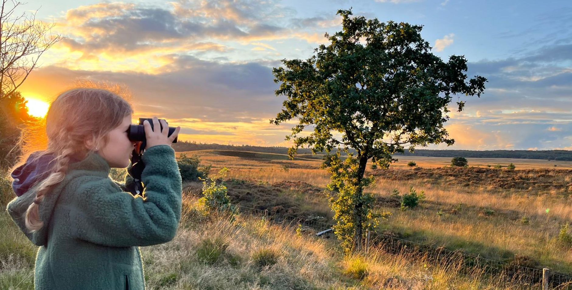 Meisje met verrekijker kijkt uit over Veluwe Meisje met verrekijker kijkt uit over Veluwe