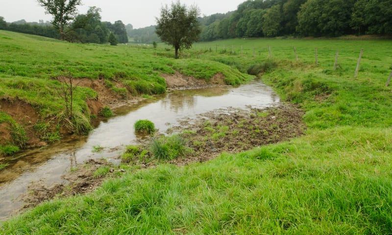 De Noor slingert door groene weilanden in Landgoed Altembrouck