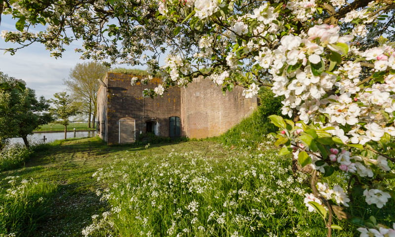 Fort Kijkuit