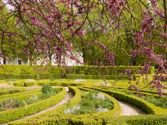 Kers Landgoed Beeckestijn