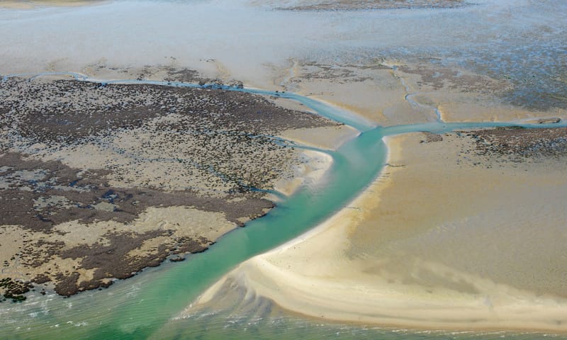 Galgeplaat