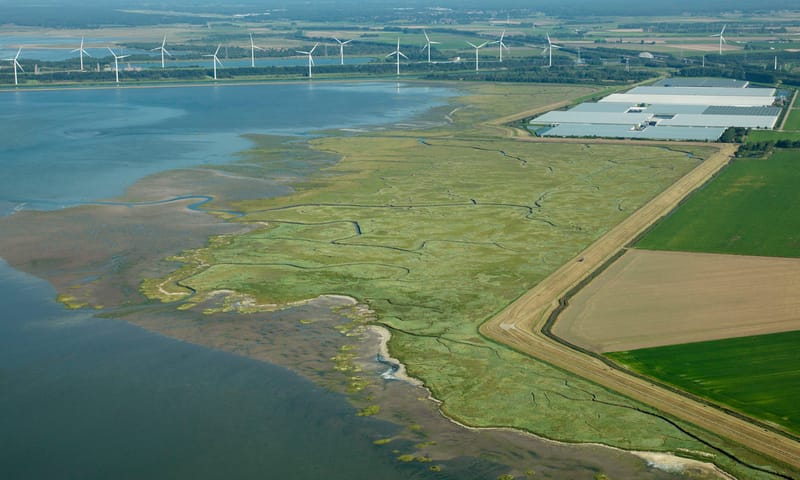 Rattekaai