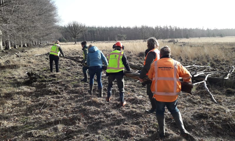 Verplaatsen mierensnelweg