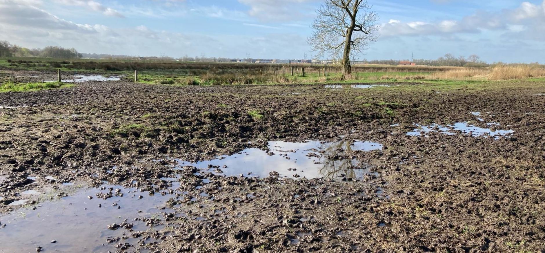 Wandelkade Laarzenpad Naardermeer nog erg nat