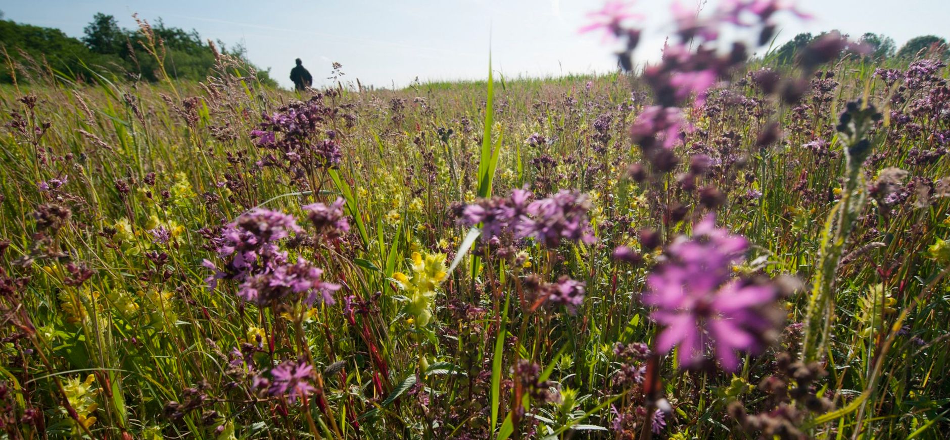 Voorjaarsvaartocht over de Vlaardingse Vlietlanden