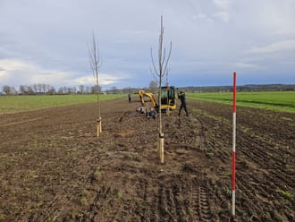 ting ecologische verbinding Bergherbos - Wehlse bos