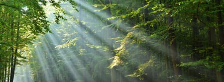 Grafheuvels, Leersum