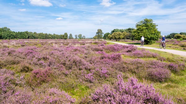 Loonse en Drunense Duinen Loonse en Drunense Duinen
