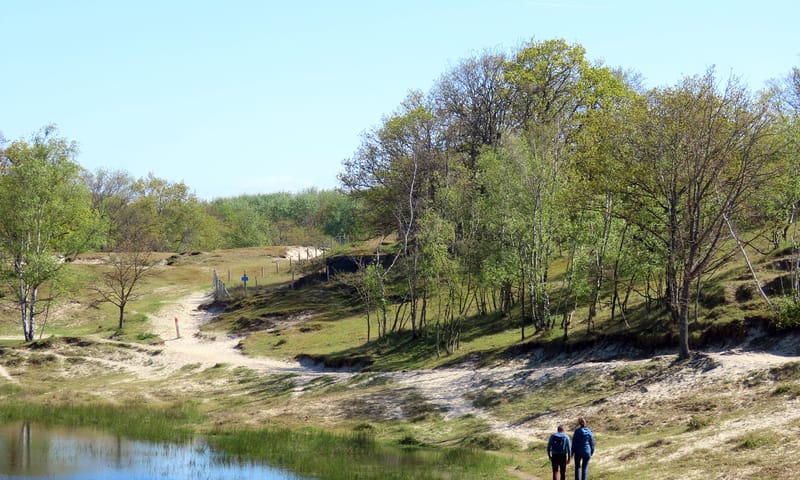 Zeepeduinen
