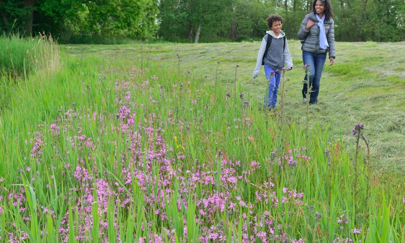 Wandelen bij het Naardermeer