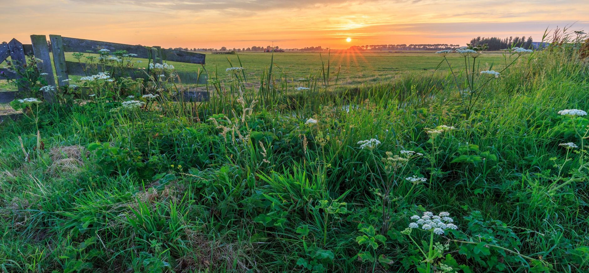 Polder Noord-Kethel