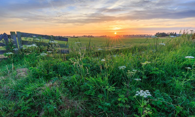 Polder Noord-Kethel